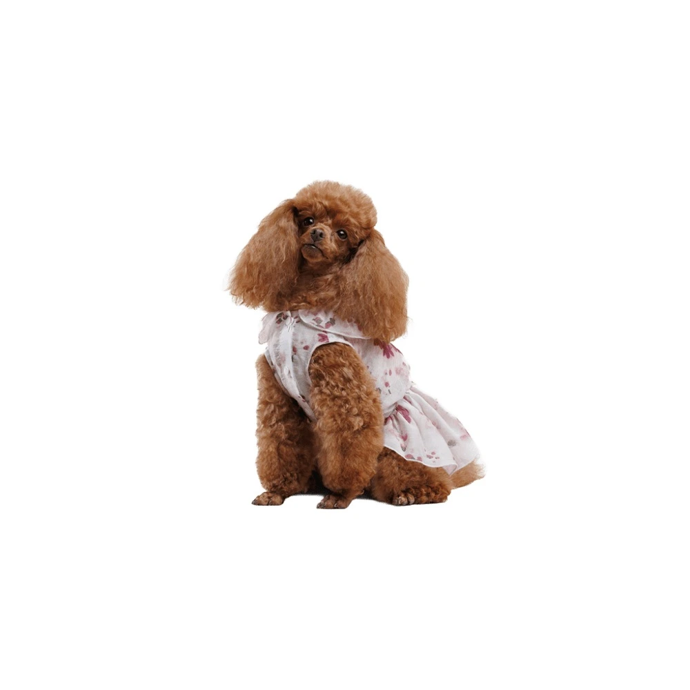 Сукня Pet Fashion Amelia для собак S