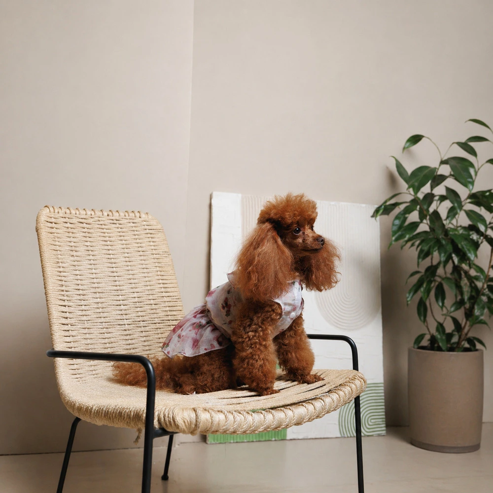 Платье Pet Fashion Amelia для собак XS2