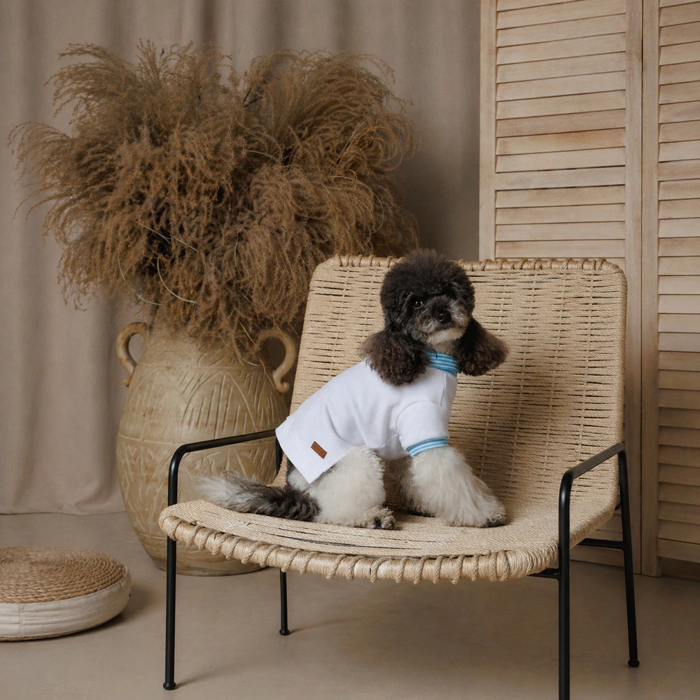Футболка Pet Fashion Polo для собак М