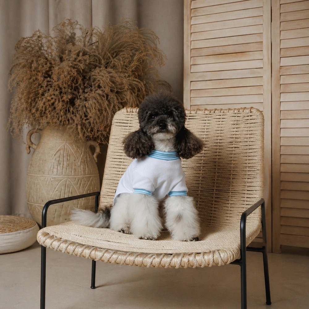 Футболка Pet Fashion Polo для собак XS2