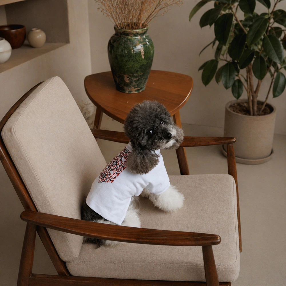 Футболка Pet Fashion Ukraine для собак M