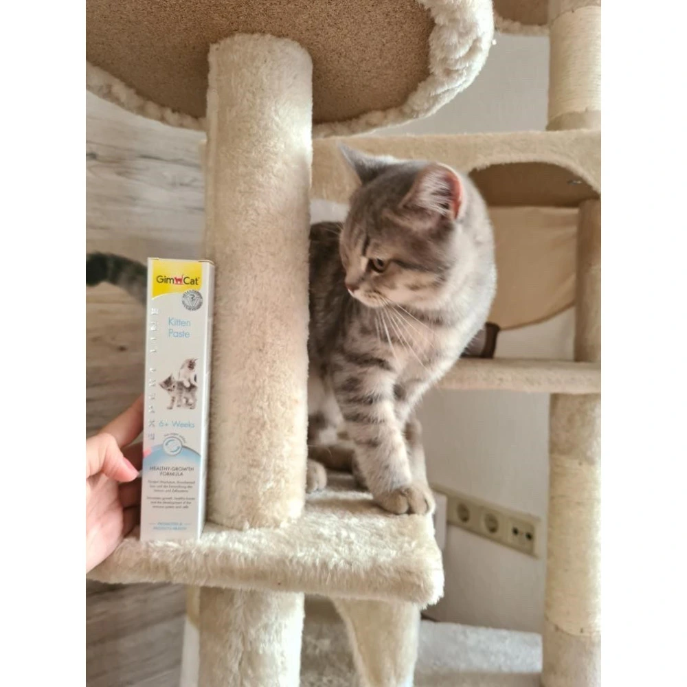Вітаміни GimCat Expert Line Kitten для кошенят вітамінізована паста 50 г