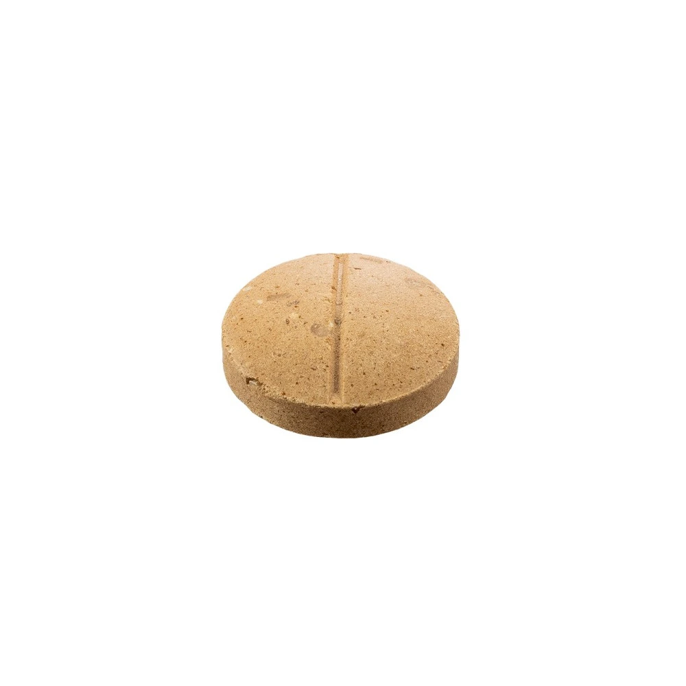 Витамины 8in1 Excel Brewers Yeast Large Breed для собак больших пород пивные дрожжи с чесноком для кожи и шерсти 80 шт