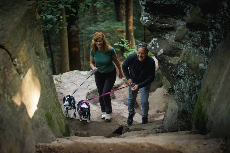 Полегшена шлейка для собак Ruffwear Hi & Light™ S 56-69 см Малиновий