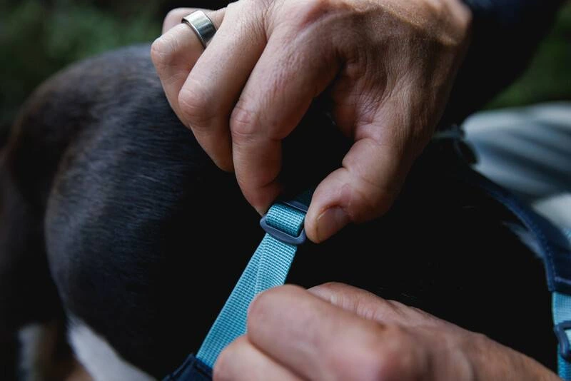 Полегшена шлейка для собак Ruffwear Hi & Light™ S 56-69 см Сірий