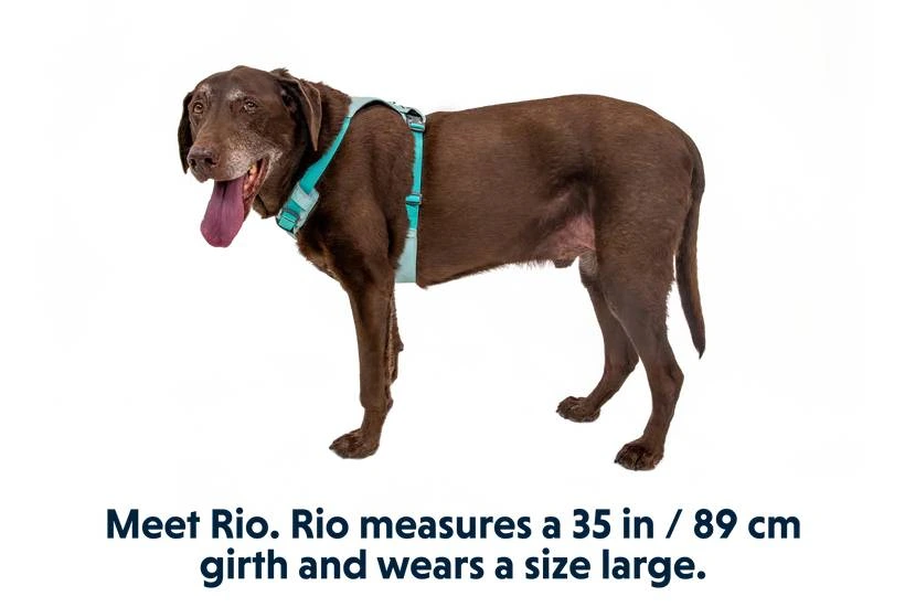Полегшена шлейка для собак Ruffwear Hi & Light™ M 69-81 см Зелений