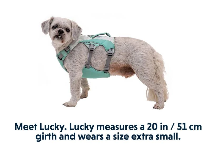 Охолоджувальна шлейка для собак Ruffwear Swamp Cooler™ XS 43-56 см Зелений