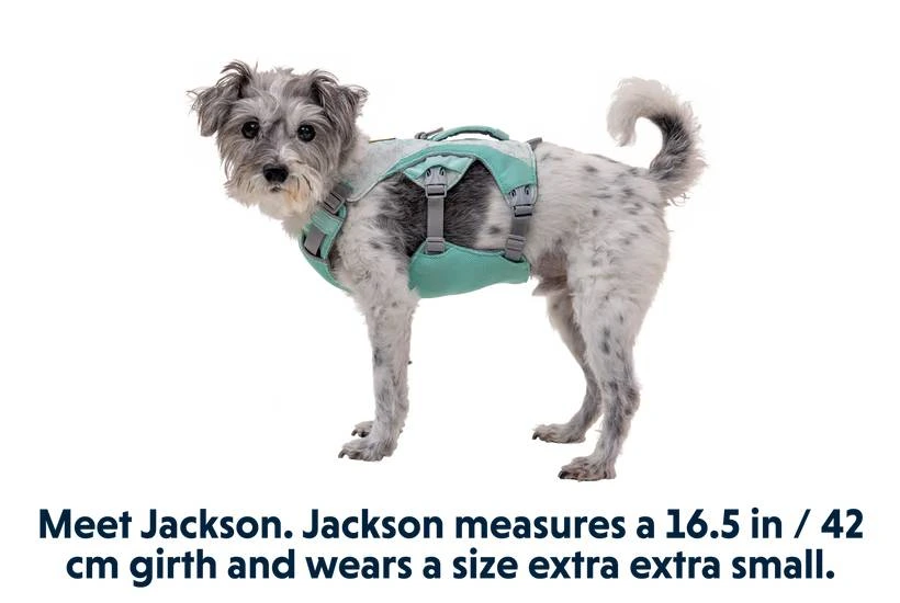 Охолоджувальна шлейка для собак Ruffwear Swamp Cooler™ S 56-69 см Зелений