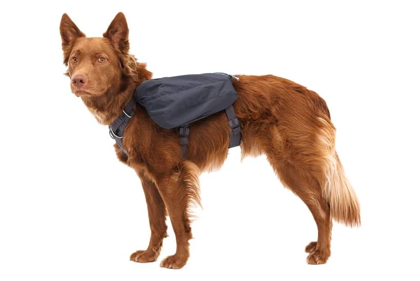 Шлейка-рюкзак для собак Ruffwear Front Range™ M Сірий