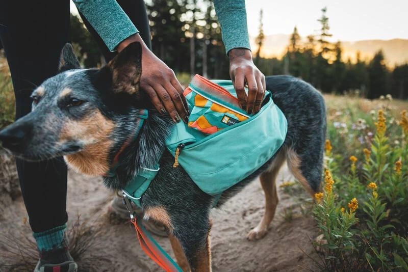 Шлейка-рюкзак для собак Ruffwear Front Range™ XS Зелений
