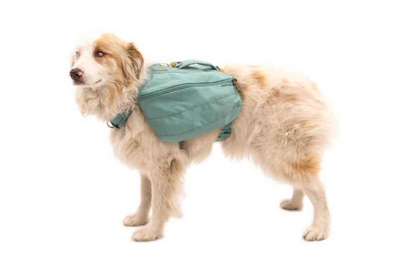 Шлейка-рюкзак для собак Ruffwear Front Range™ XS Зелений