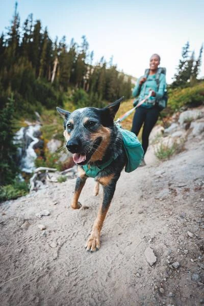 Шлейка-рюкзак для собак Ruffwear Front Range™ M Зелений