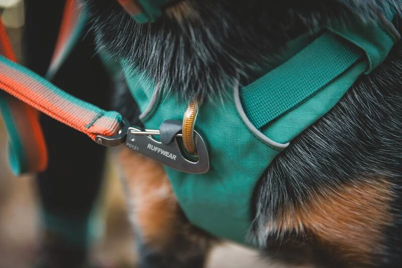Шлейка-рюкзак для собак Ruffwear Front Range™ M Зелений