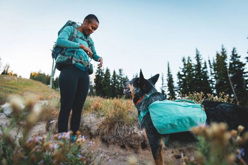 Шлейка-рюкзак для собак Ruffwear Front Range™ M Зелений