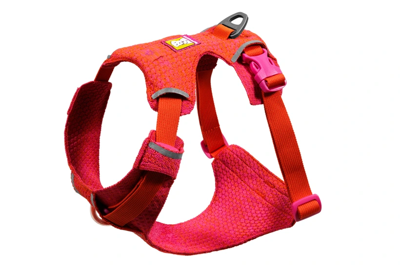 Шлея для собак Ruffwear Front Range® Flex Harness XXXS Рожево-фіолетовий