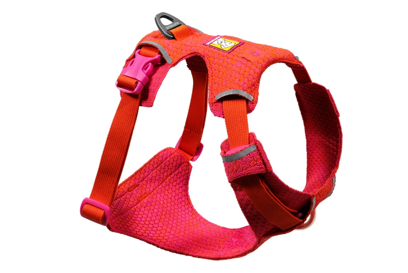 Шлея для собак Ruffwear Front Range® Flex Harness XXXS Рожево-фіолетовий