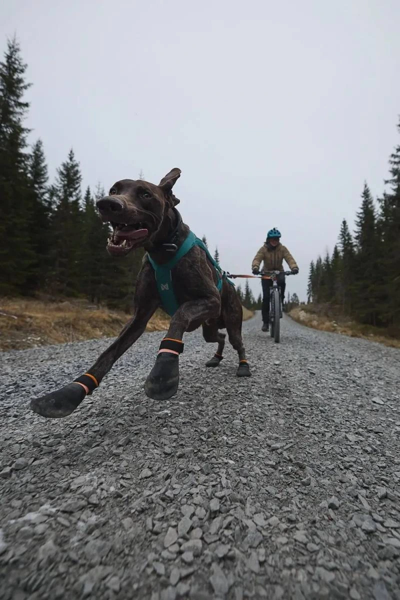 Черевики для собак Protector bootie Non-stop dogwear Чорний/Помаранчевий M
