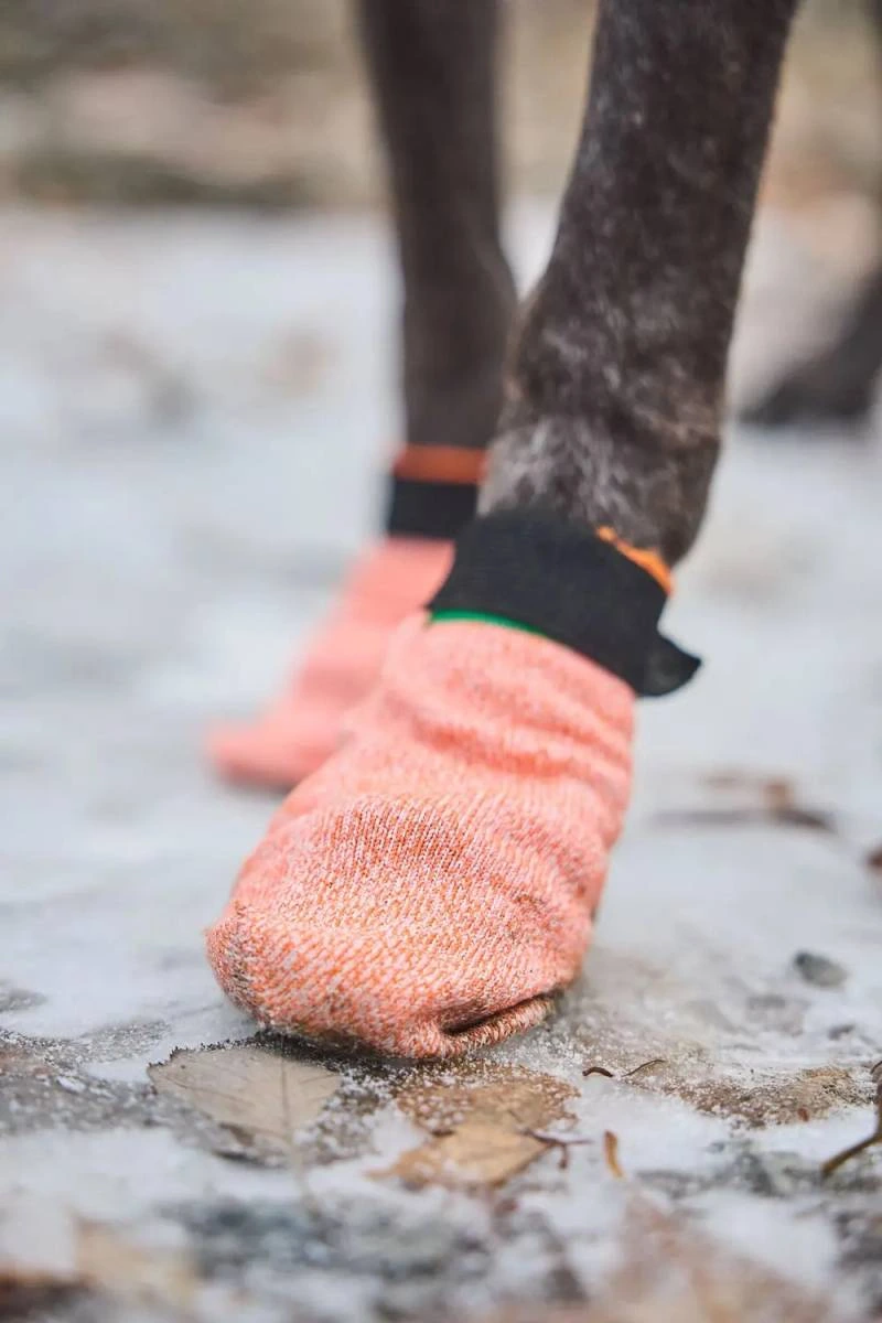 Шкарпетки для собак Protector light socks Non-stop dogwear Помаранчевий S