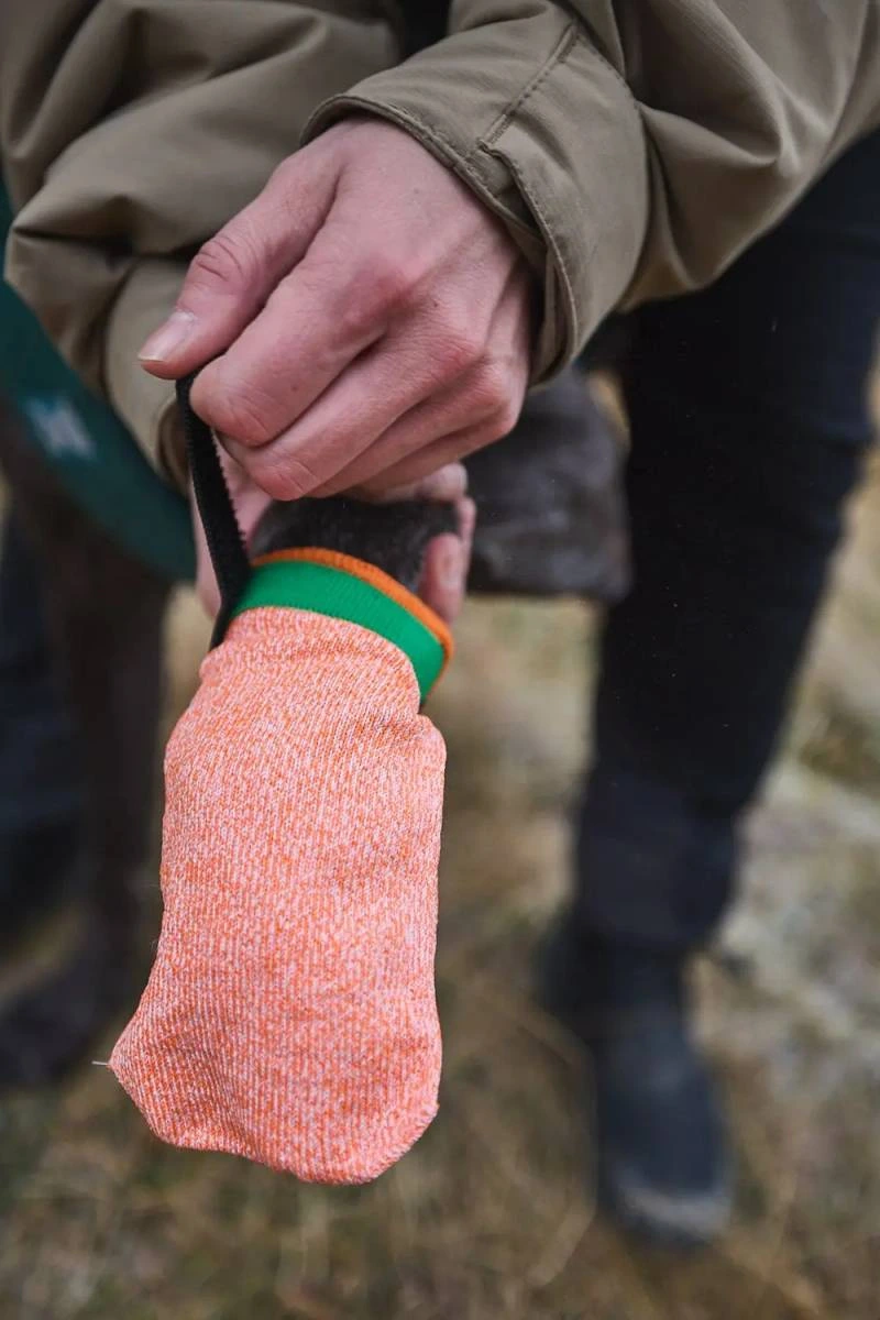 Шкарпетки для собак Protector light socks Non-stop dogwear Помаранчевий М