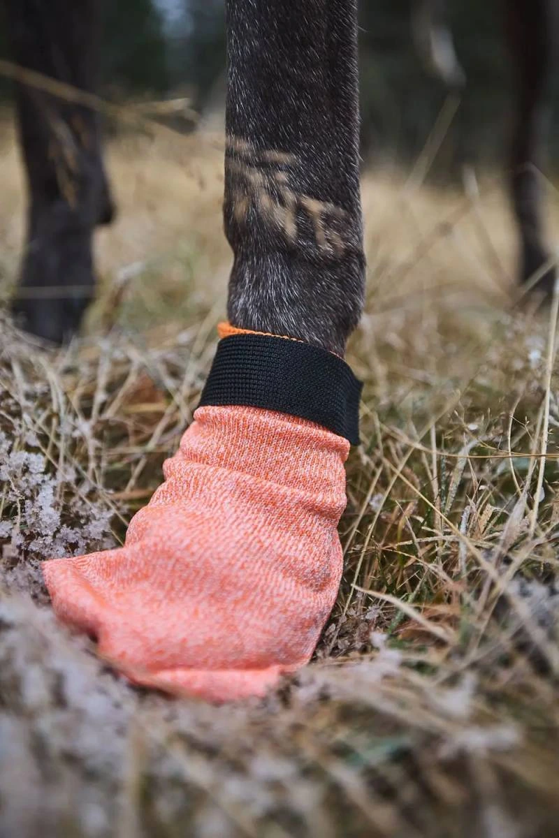 Шкарпетки для собак Protector light socks Non-stop dogwear Помаранчевий L