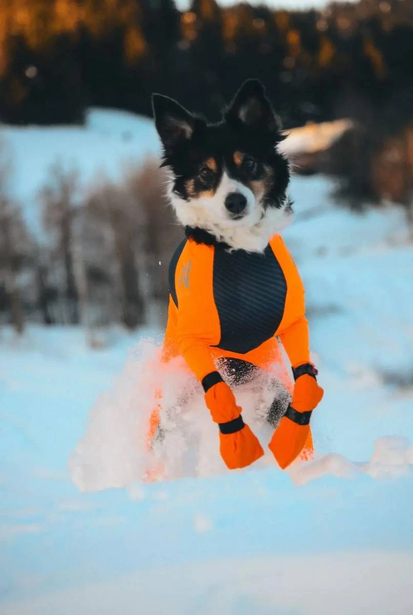 Високі черевики для собак Contact bootie high Non-stop dogwear Помаранчевий 3XS