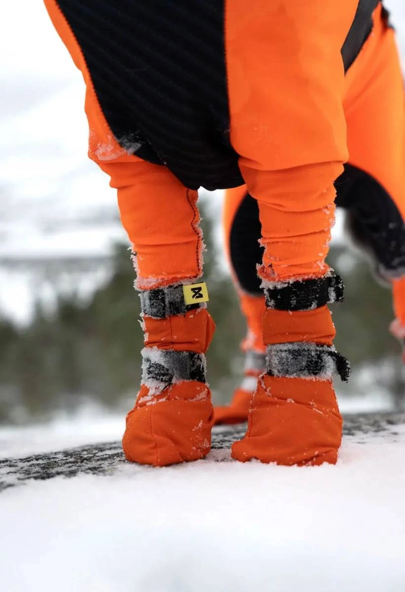Високі черевики для собак Contact bootie high Non-stop dogwear Помаранчевий XS