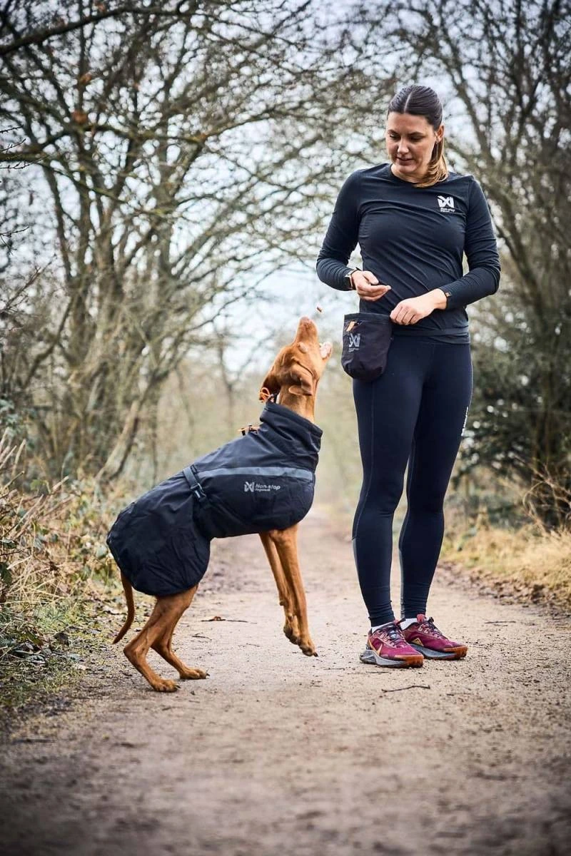 Сумка для ласощів та аксесуарів собак Treat bag Non-stop dogwear Чорний