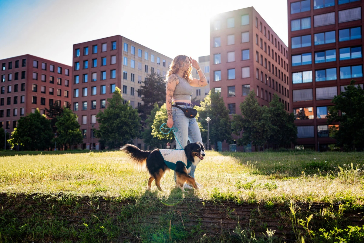 Охолоджувальний жилет для собак Cooling pull-on Non-stop dogwear Сіро-блакитний 50