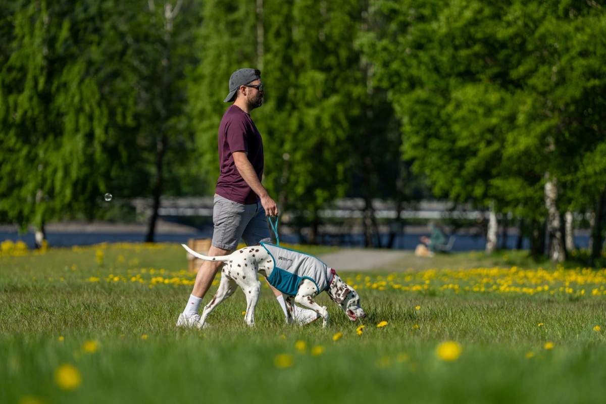 Охолоджувальний жилет для собак Cooling pull-on Non-stop dogwear Сіро-блакитний 70