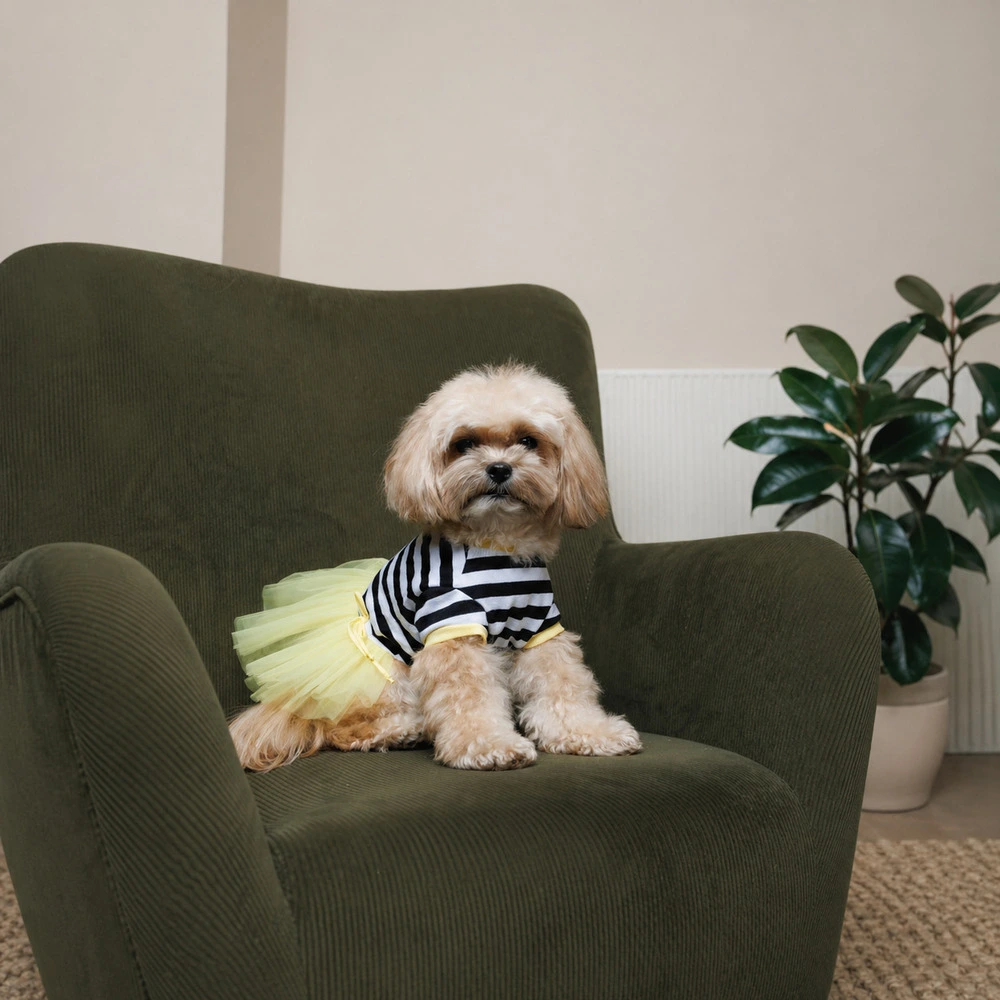 Сукня Pet Fashion Liana для собак ХXS