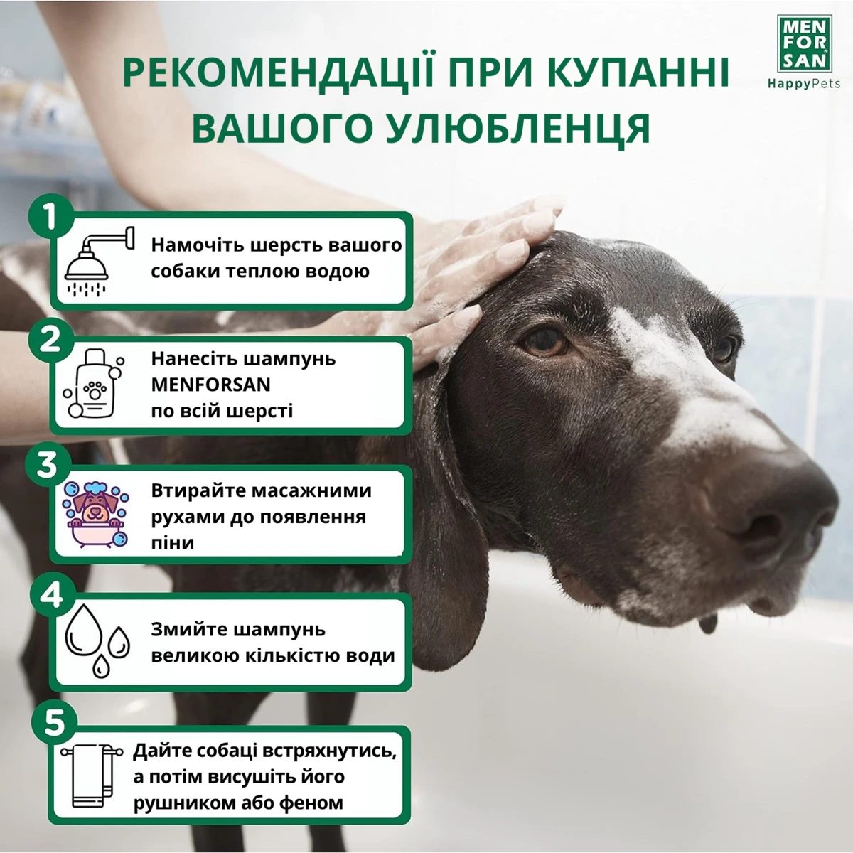 Шампунь для собак MENFORSAN, проти лупи