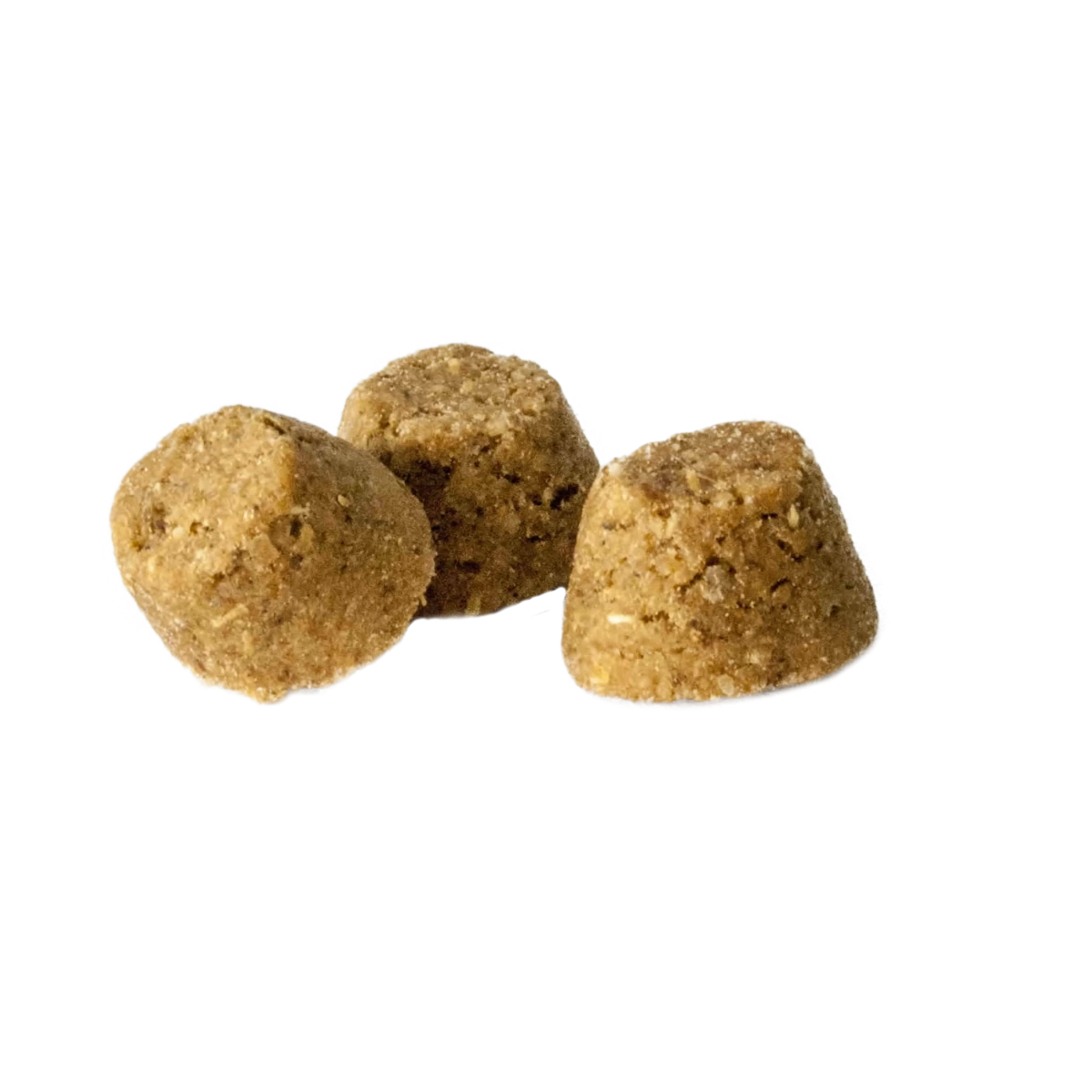 Корм для собак Oven-Baked Tradition для цуценят зі свіжого м'яса ягняти, 10,44 кг