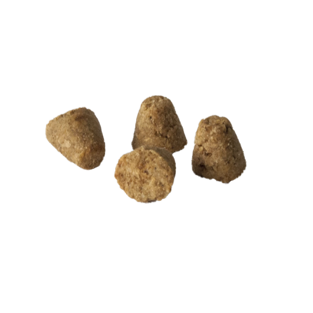 Корм для кошек Oven-Baked Tradition Беззерновой, со свежим мясом утки, 1,13 кг