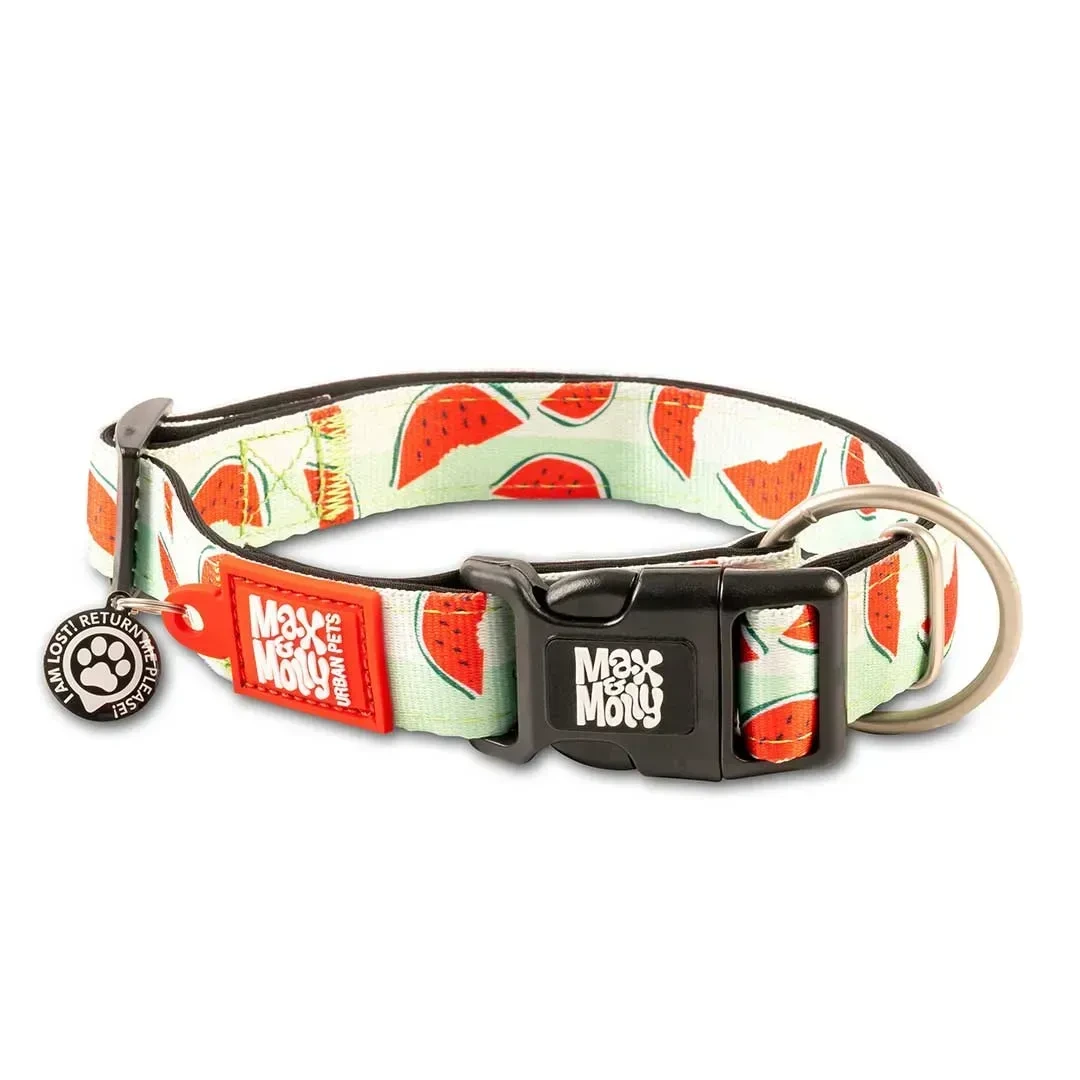 Нашийник для собак Кавуни Smart ID Collar - Watermelon/М