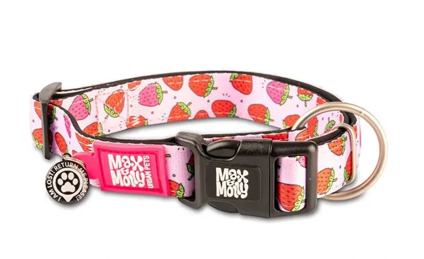 Нашийник для собак Полуниця Smart ID Collar - Strawberry Dream/XS