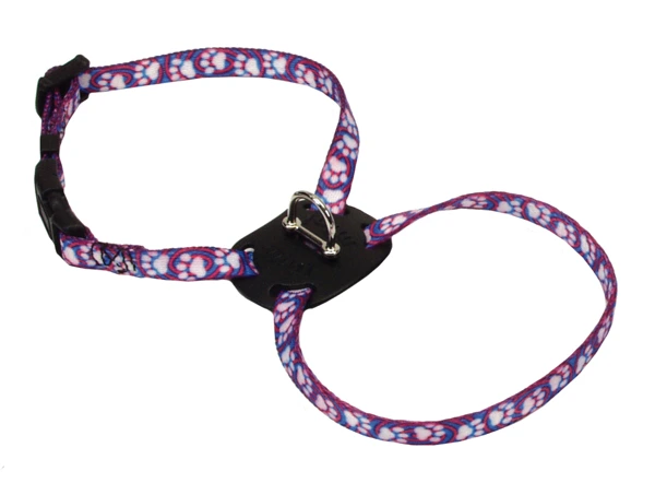 Шлея для собак Coastal Li`l Pals Dog Harness, Лапки