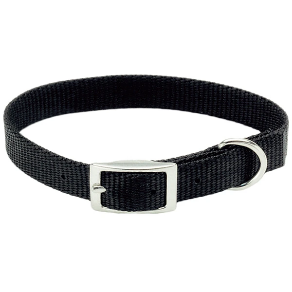 Нашийник для собак Coastal Nylon Web, Чорний, 1 х 25 см