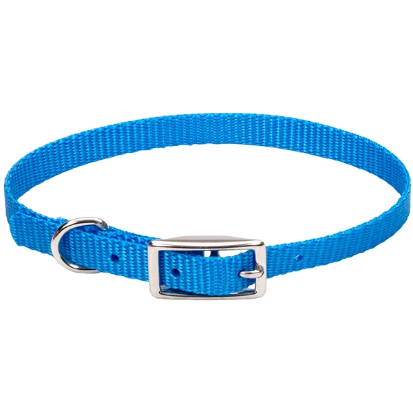 Нашийник для собак Coastal Nylon Web, Блакитна лагуна, 1 х 25 см