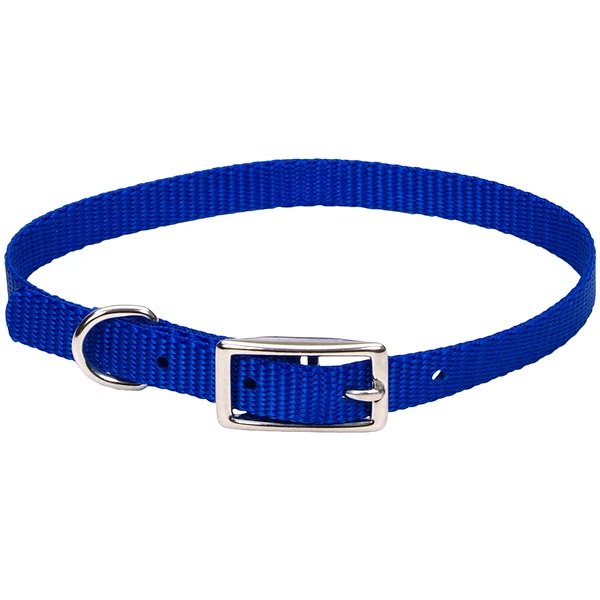 Нашийник для собак Coastal Nylon Web, Синій, 1 х 25 см
