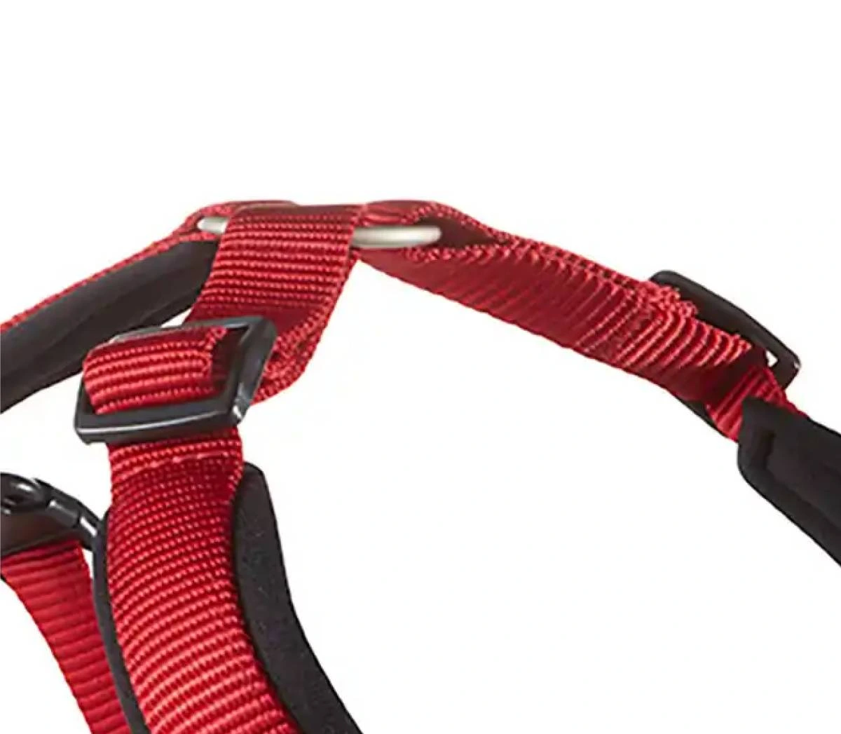 Шлейка для собак пом'якшена Wolters Professional Comfort 2 40-45 см / 25 мм Червоний