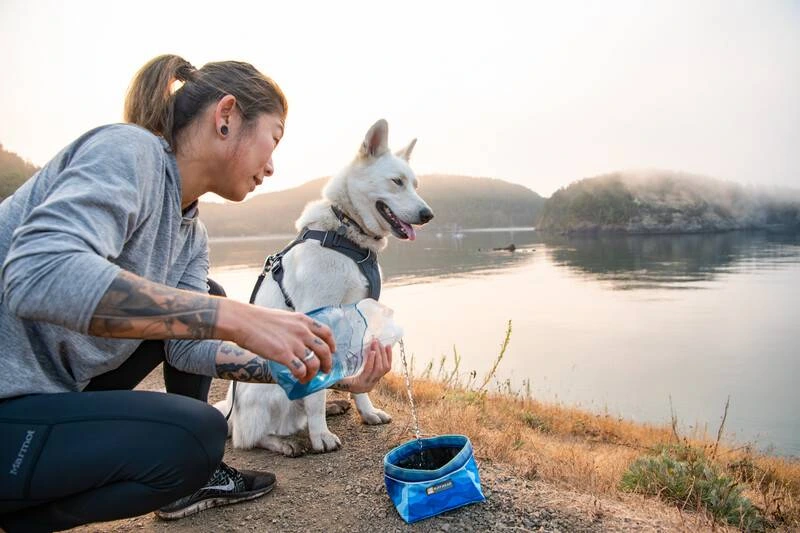 Складна миска для собак Ruffwear Quencher™ M Синьо-блакитний