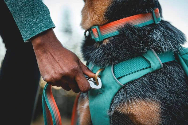Повсякденний нашийник для собак Ruffwear Front Range™ 28-36 см Оранжево-сірий