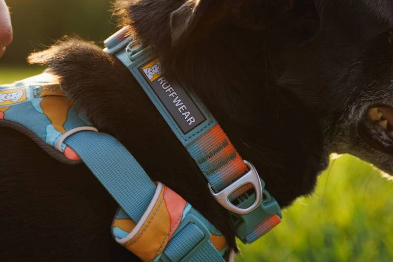 Повсякденний нашийник для собак Ruffwear Front Range™ 36-51 см Оранжево-сірий