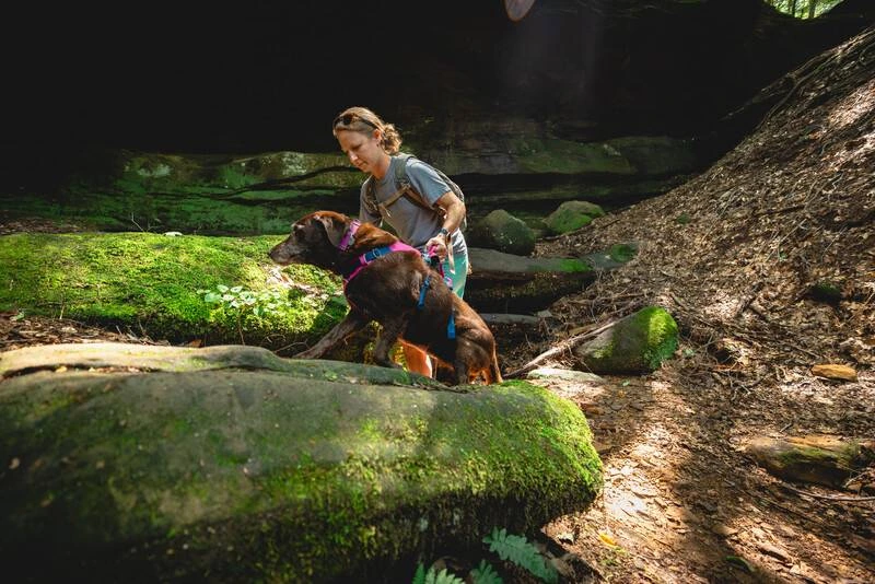 Легка шлейка для собак Ruffwear Flagline™ XS 43-56 см Малиновий