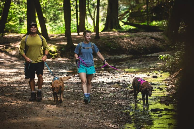 Легка шлейка для собак Ruffwear Flagline™ XS 43-56 см Малиновий