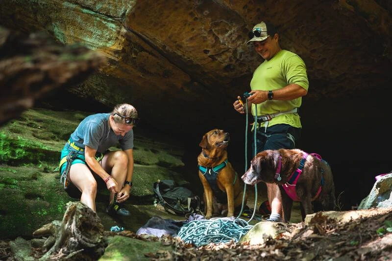 Легка шлейка для собак Ruffwear Flagline™ L/XL 81-107 см Малиновий