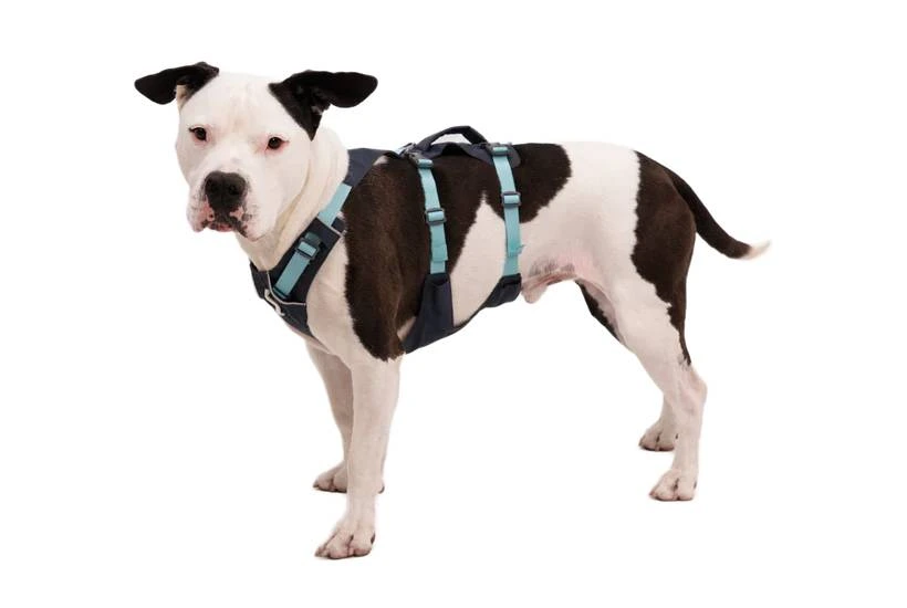 Легка шлейка для собак Ruffwear Flagline™ XS 43-56 см Сірий