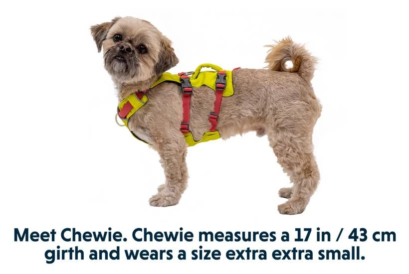 Легка шлейка для собак Ruffwear Flagline™ XS 43-56 см Жовтий