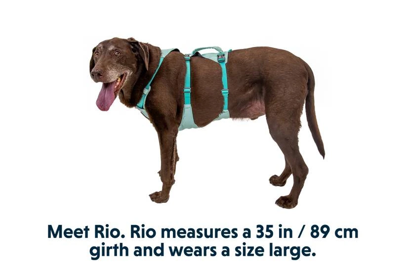 Легка шлейка для собак Ruffwear Flagline™ XS 43-56 см Зелений