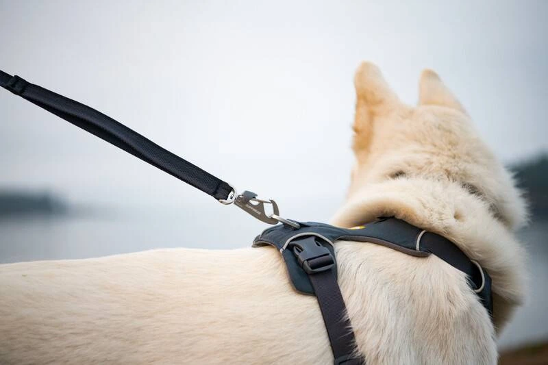 Повсякденна шлейка для собак Ruffwear Front Range® XXS 33-43 см Сірий